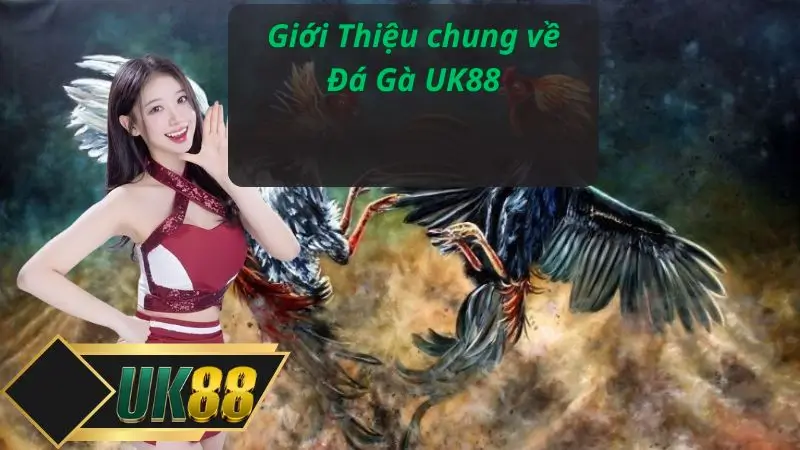 Giới Thiệu chung về Đá Gà UK88