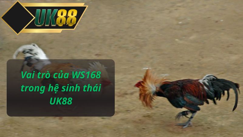 Vai trò của WS168 trong hệ sinh thái UK88